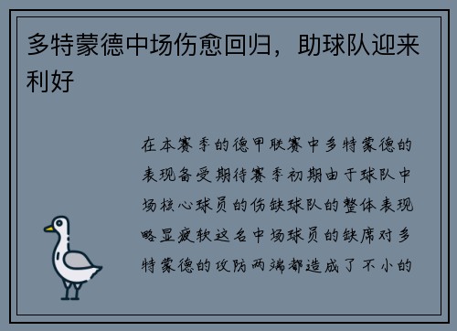多特蒙德中场伤愈回归，助球队迎来利好